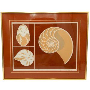 Seashell Framed Art Print Vintage 1980s Nautilus Beach Sand Sea Shell Home Decor